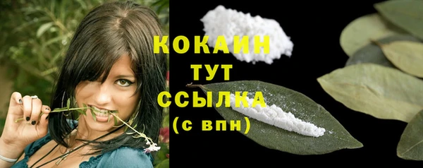 винт Бронницы