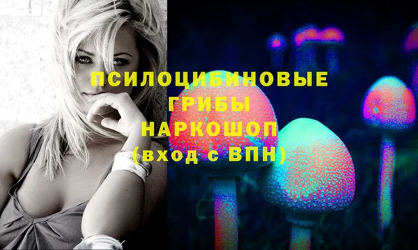 винт Бронницы