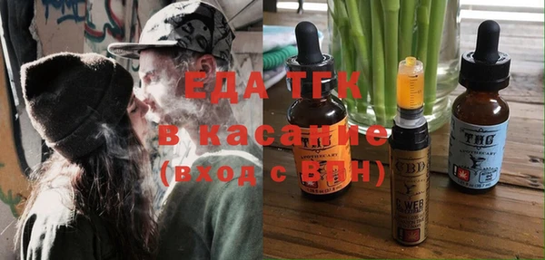 молекула духа Бородино