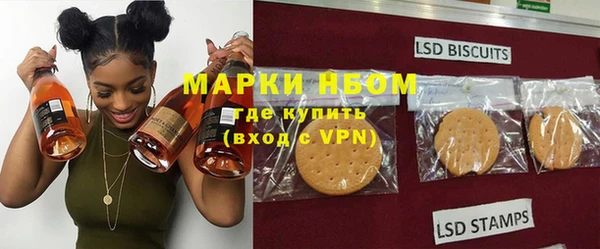 молекула духа Бородино