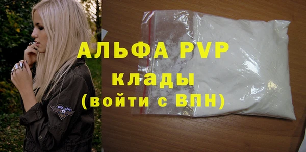 молекула духа Бородино