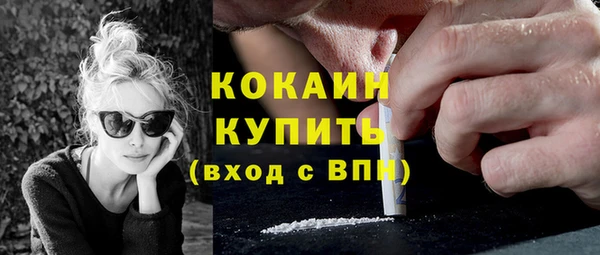 молекула духа Бородино